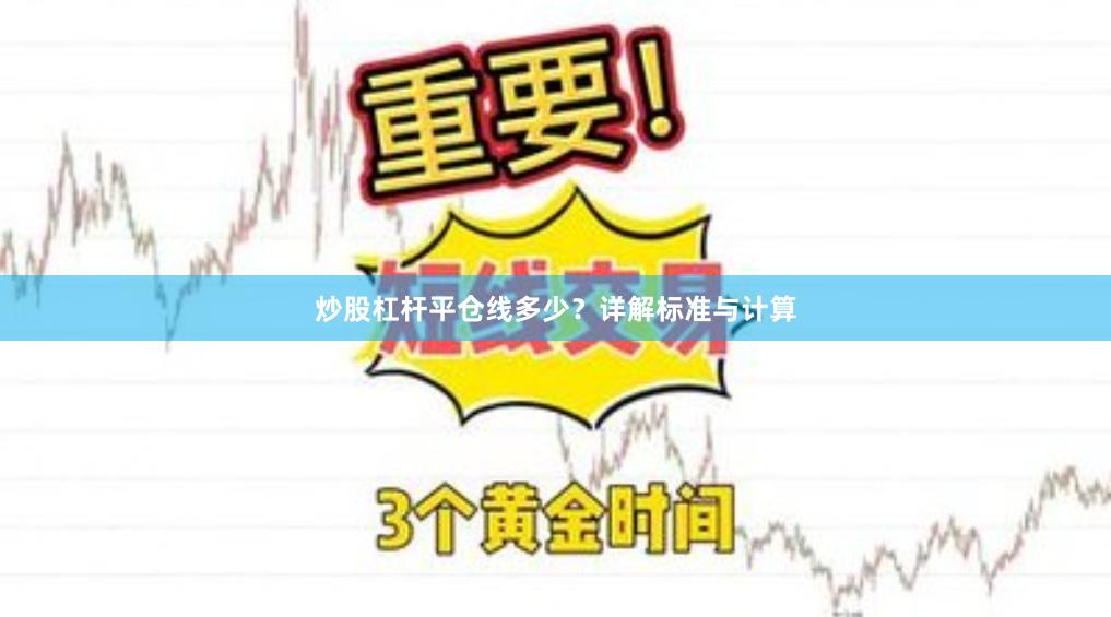 炒股杠杆平仓线多少？详解标准与计算